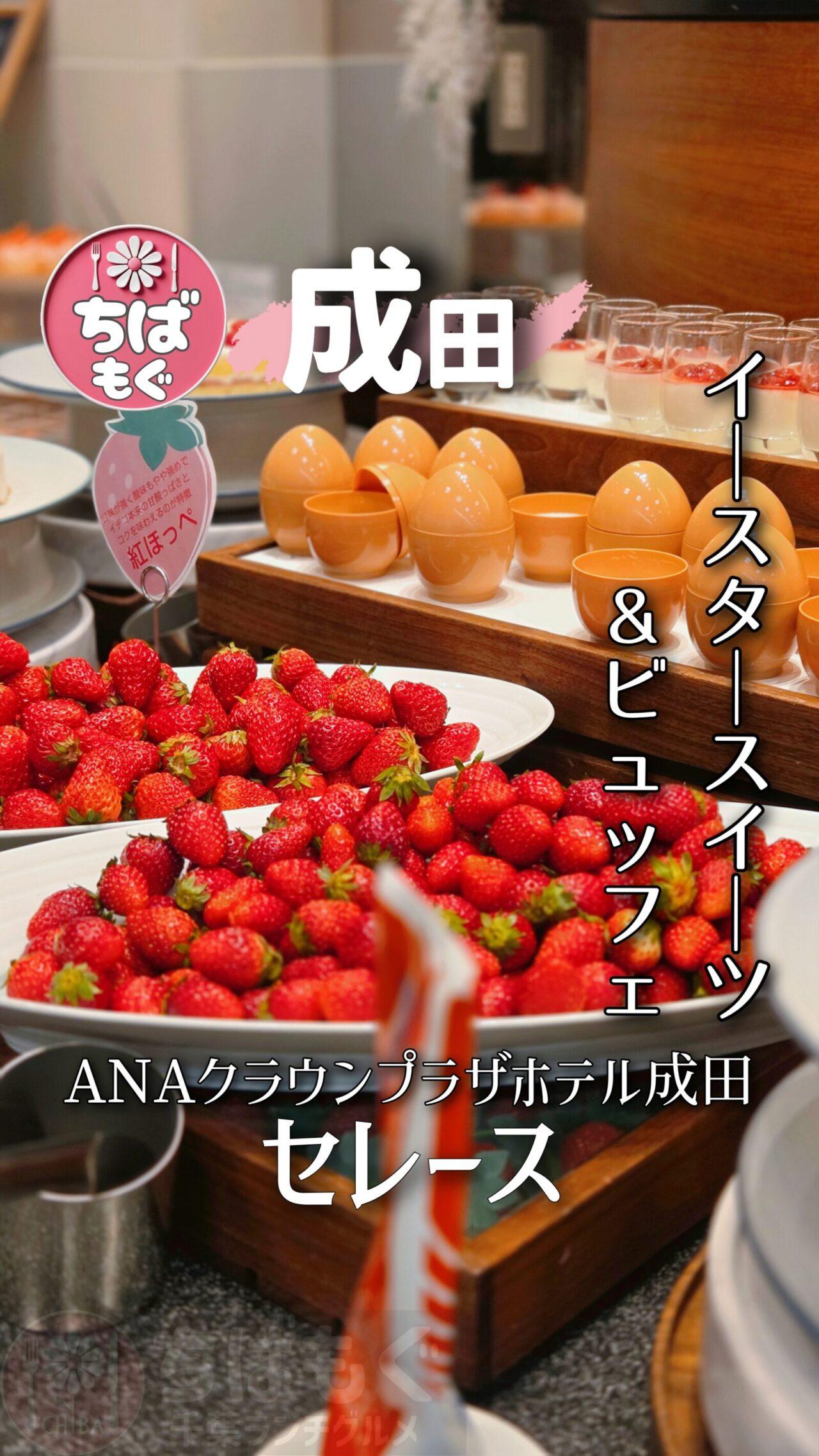 セレース　ANAクラウンプラザ成田